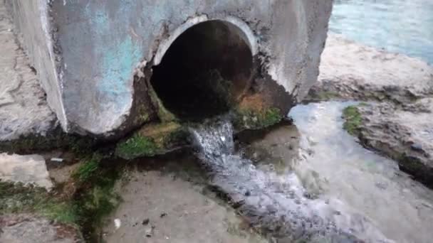 Water Flowing Out Old Drainage Pipe Sea — Video