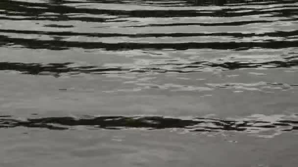 Ripples Water Light Reflection Slow Motion — Stock videók