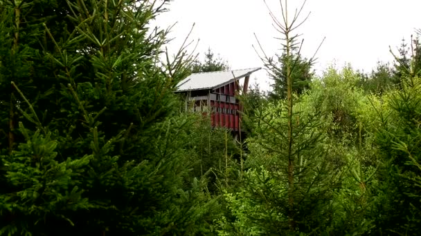 Вартова Башта Або Пожежна Вежа Лісі Щоб Захистити Природу Від — стокове відео