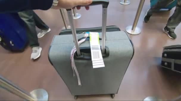 Passenger Pushing Luggage Wheels Airport Baggage Drop — стоковое видео