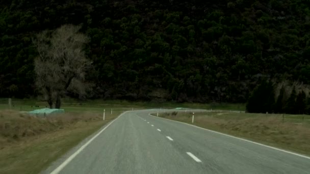 First Person View Driving Beautiful Country New Zealand — Vídeo de Stock