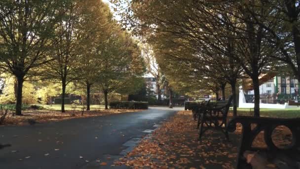 Park Autumn Benches Fallen Yellow Leaves — Stockvideo