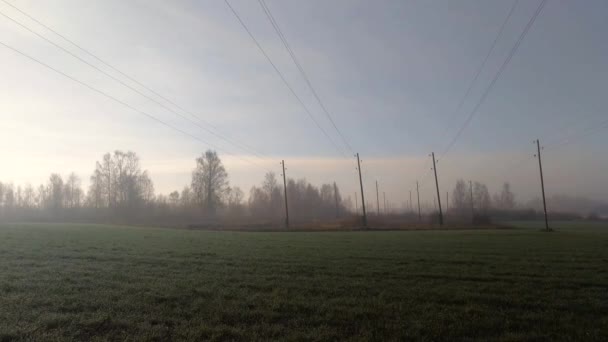 Misty Autumn Morning Electric Wires — Stok video