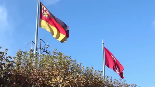 Waving Flag City Mainz Capital German State Rhineland Palatinate — Stockvideo