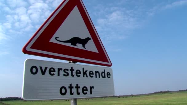 Road Sign Crossing Otter — стоковое видео