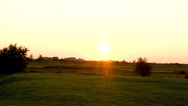 Sunset Friesland Meadow — Stock video