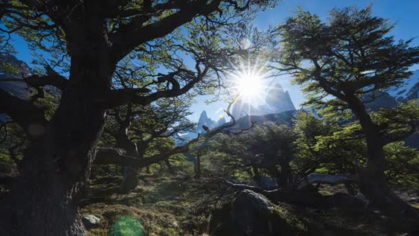 Timelapse Mount Fitz Roy Patagonia Sunset — 비디오