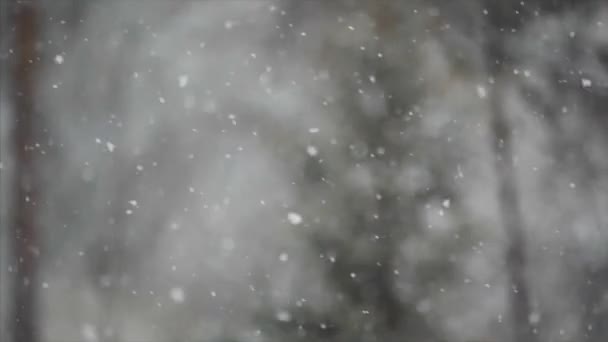 Snowflakes Falling Slow Motion Background — Stock videók