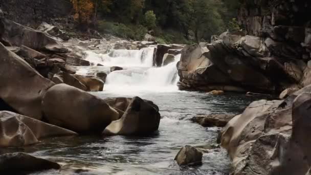 Swift Rapids Rush Jagged Rocks Skykomish River Washington State — ストック動画