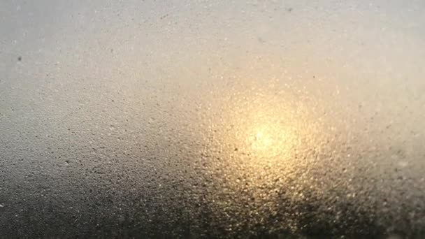Window Glass Water Drops Blurry Sun Still Image Endless Looping — ストック動画