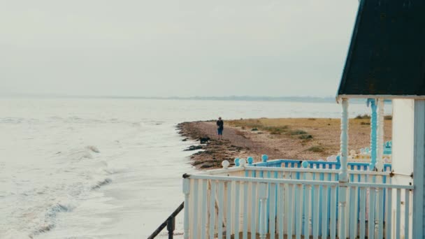 Older Lady Walking Beach Dog Beach Huts Foreground — Αρχείο Βίντεο