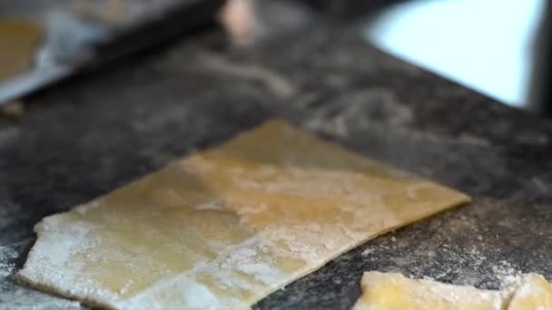 Making Homemade Ravioli Filling Pasta — Stockvideo