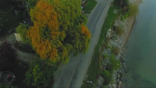 Bikers Ride Willow Tree Sunset Selkirk Ontario Canada — Stock Video