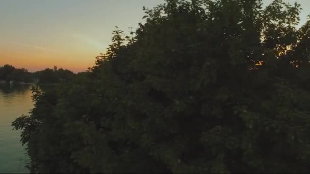 Lake Erie Revealed Trees Aerial Shot Selkirk Ontario Canada — Vídeo de stock