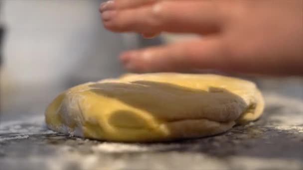 Preparing Home Made Pasta Dough Hands — Stok video