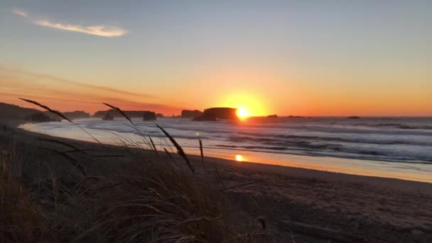 Reeds Swaying Breeze Bandon Beach Oregon Sunset Calm Peaceful Ocean — Wideo stockowe