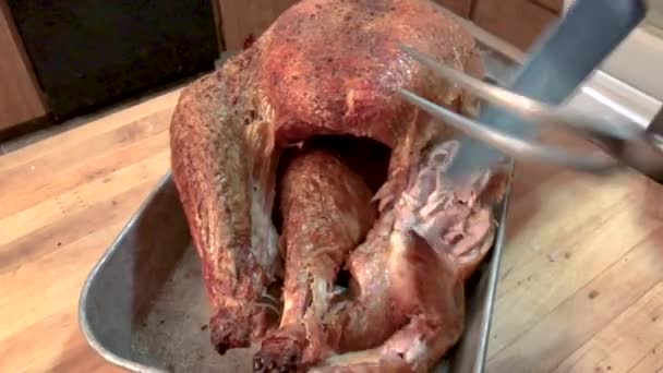 Home Cook Carving Big Delicious Turkey — Stock video