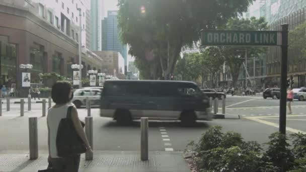 Timelapse People Crossing Pedestrian Lane — Wideo stockowe