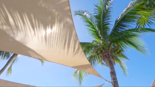 Chilling Out Shadow Warm Sunny Day Paradise — Stock videók