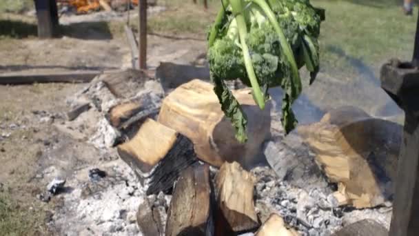 Wood Burning Fire Camera Tilts Reveal Whole Pig Turning Roasting — Vídeo de stock