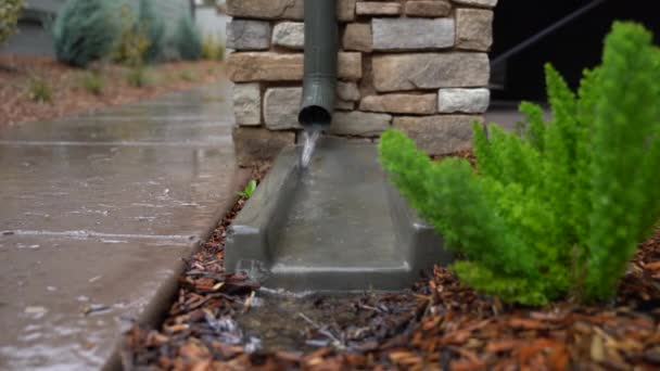 Close View Downspout Water Flowing Rainy Day — Stock Video