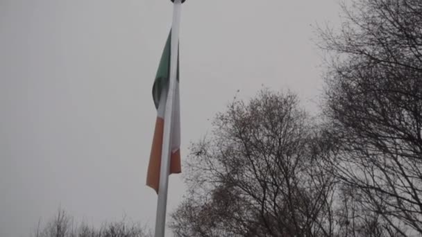 Flat Ireland Flag Cloudy Day — Vídeo de stock