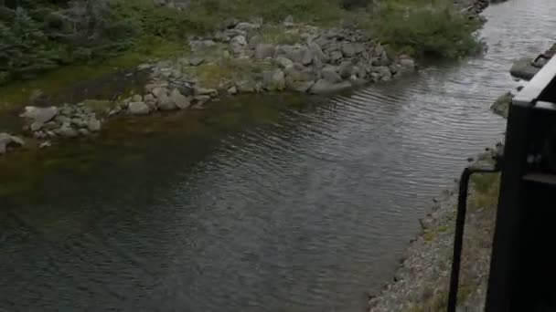 Calm Stream Lies Passing Train Train Rushes — Video