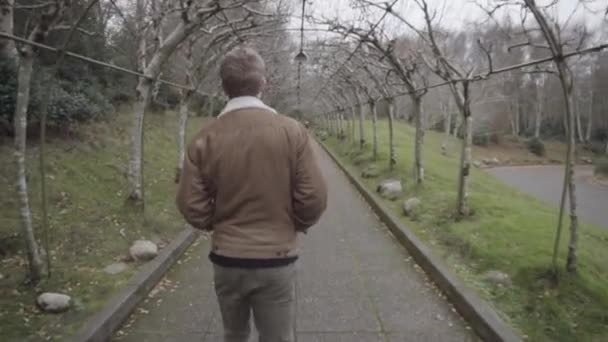 Man Walking Beautiful Path — Stockvideo
