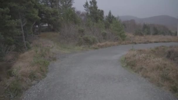 Walking Path Glenveagh National Park Ireland — Stockvideo