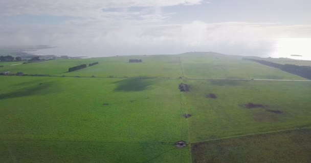Amazing Aerial Flight Green Field Coastline Tasmania Australia — Vídeo de Stock