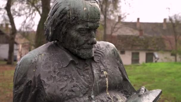 Famous Hungarian Composer Musician Zoltan Kodaly Statue Nyrbator Hungary Recorded – stockvideo