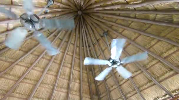 Two Ceiling Fans Spinning Fast Spa Resort — Wideo stockowe