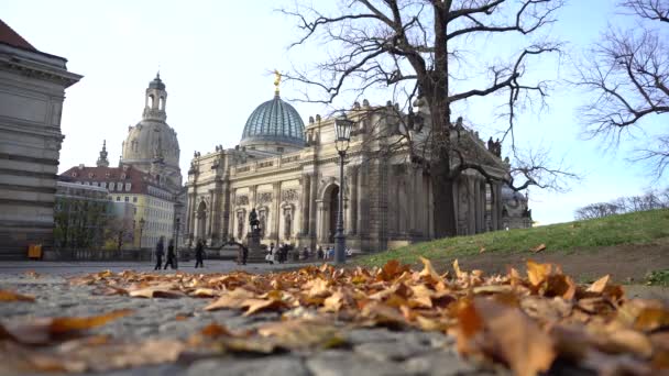Autumn Dresden City Leaves Ground Historical Buildings — Vídeos de Stock