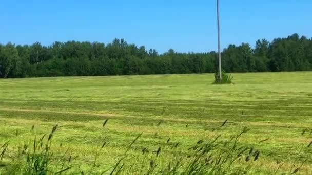 Человек Четырех Колёсах Прицепом Поля Курьеров — стоковое видео