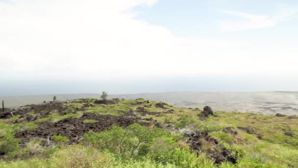 Pan Left Right Lava Field Has Been Reclaimed Grass High — Wideo stockowe