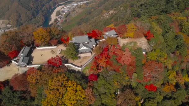 Rotating Aerial Drone Bitchu Matsuyama Castle Autumn Colors Japan — Stock videók