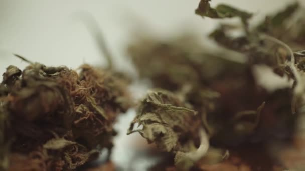 Macro Extreme Close Pan Buds Marijuana Table — Wideo stockowe