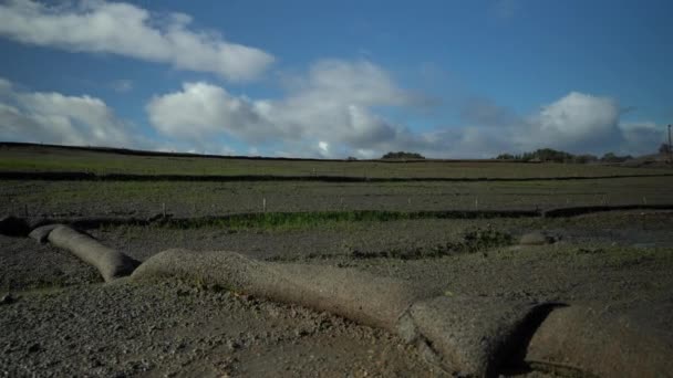 Erosion Control Silt Socks Grass Seeding New Construction Zone — Wideo stockowe