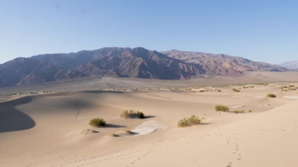 Вид Плоские Дюны Мескита Национальном Парке Долина Смерти Горами Заднем — стоковое видео