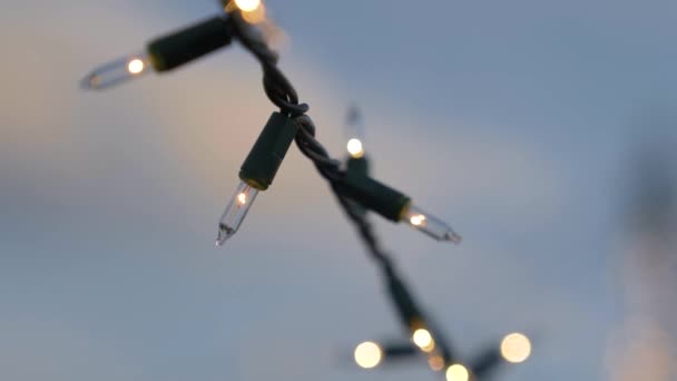 Close Christmas Lights Strung Summer Dusk — Stockvideo