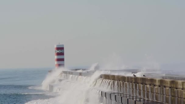 Isolated Lighthouse Big Ocean Waves Crash — Vídeo de stock