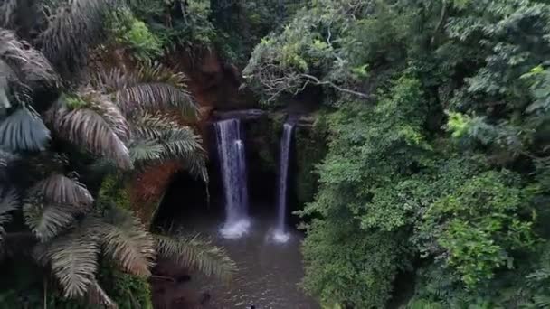Drone Flying Backwards Palm Trees Reveal Shot Hidden Waterfall Pond — Stockvideo
