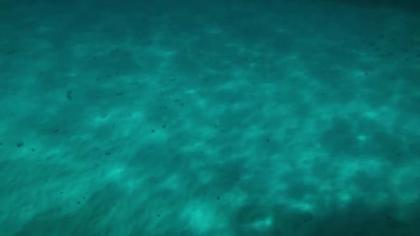 Watching Sunlight Refracting Sandy Bottom Head Out Explore Reef — 图库视频影像