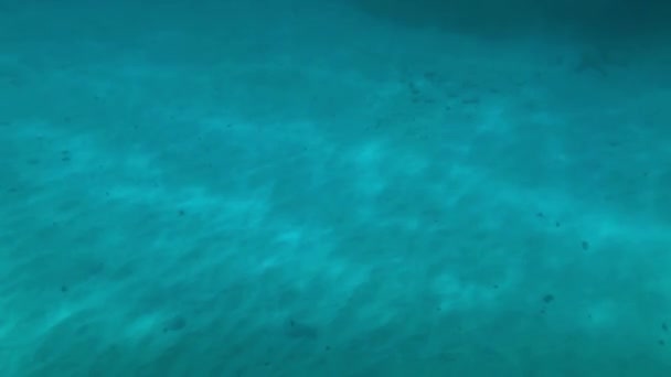 Sun Dances Sandy Bottom Prepare Snorkel Reef System — Wideo stockowe