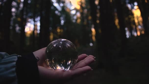 Close Young Female Hand Holding Crystal Ball Reflecting Landscape Autumnal — 비디오