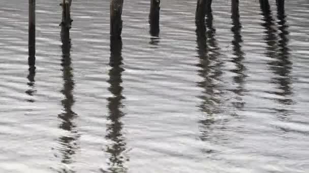 Mooring Posts Reflected Dark Glomy Derwent Water English Lake District — Vídeos de Stock