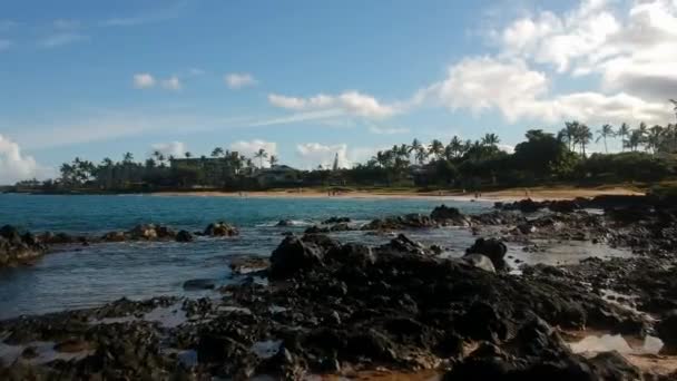 Aerial Reef Flyover Kamaole Beach Maui — Video Stock