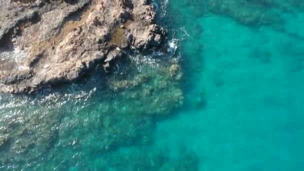 Aerial Footage Reef Snorkelers Kamaole Iii Beach Maui — Stock video