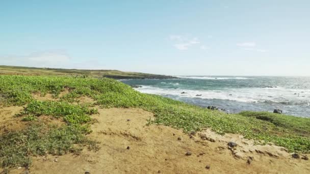 Lava Rock Grassland Coast Being Hit High Winds Large Waves — Vídeos de Stock