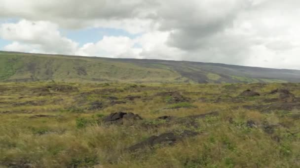 Right Left Pan Grassland Lava Rock Coast Huge Grass Covered — Stock Video